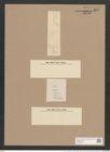 Navicula cryptocephala var. veneta Rabh. (Kuetz.) (de-Toni-Nr.: Genus 1, Species 109) Zeichnungen Sammlung Grunow Nr. 323 (NHMW-BOT-W0366598)